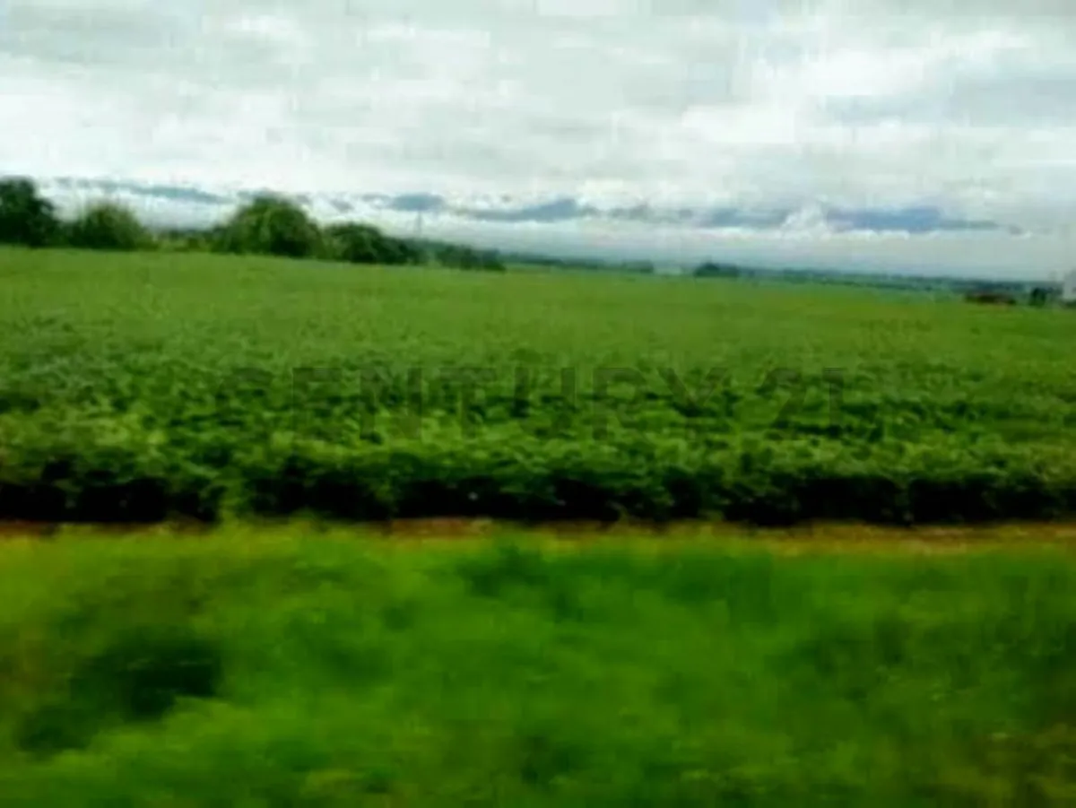 TERRENO DE USO TURISTICO, AGRICOLA Y FORESTAL EN EL ESTADO MIRANDA - 5