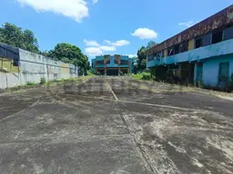 Vista 11