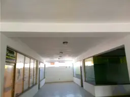 Vista 10