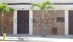 Vista 4
