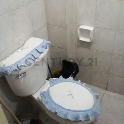 Vista 5