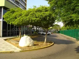 Vista 24
