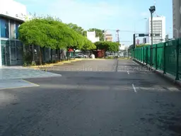 Vista 25