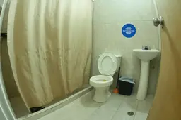 Vista 21