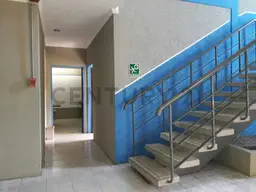 Vista 5