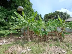 Vista 13