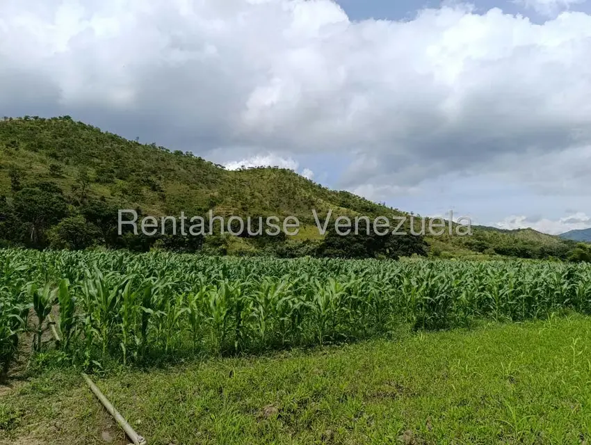 Terreno (Finca) en Venta en Sector Sierra del Norte, Aragua - 16