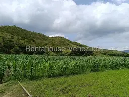 Vista 16