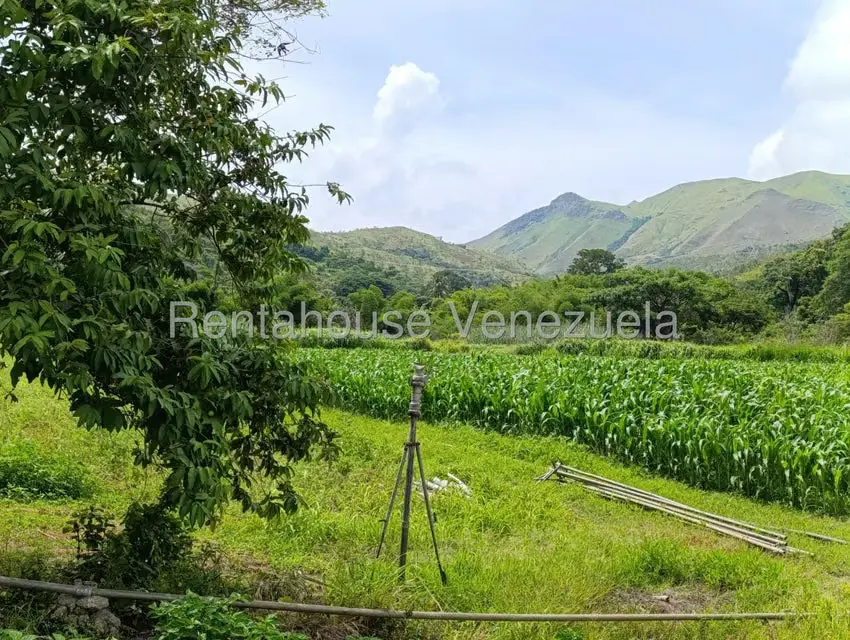 Terreno (Finca) en Venta en Sector Sierra del Norte, Aragua - 20