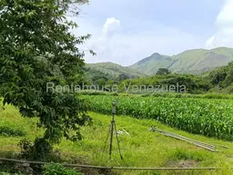 Vista 20
