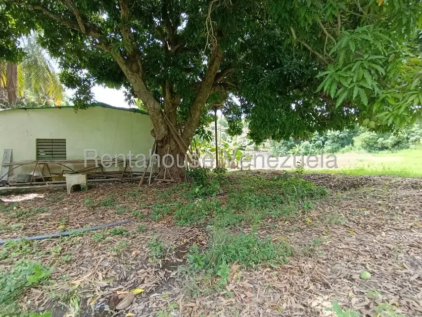 Terreno (Finca) en Venta en Sector Sierra del Norte, Aragua - 2