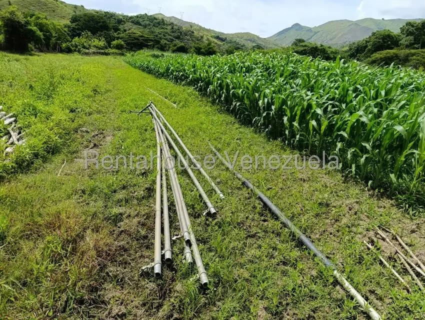 Terreno (Finca) en Venta en Sector Sierra del Norte, Aragua - 22