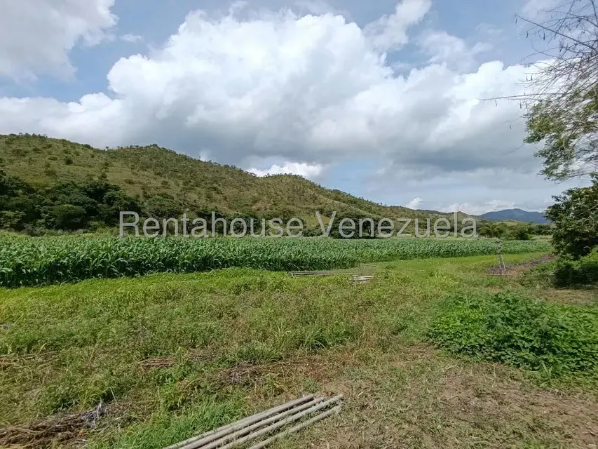 Terreno (Finca) en Venta en Sector Sierra del Norte, Aragua - 26