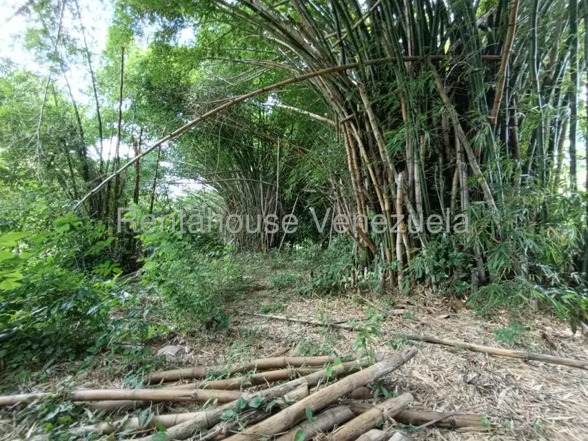Terreno (Finca) en Venta en Sector Sierra del Norte, Aragua - 27