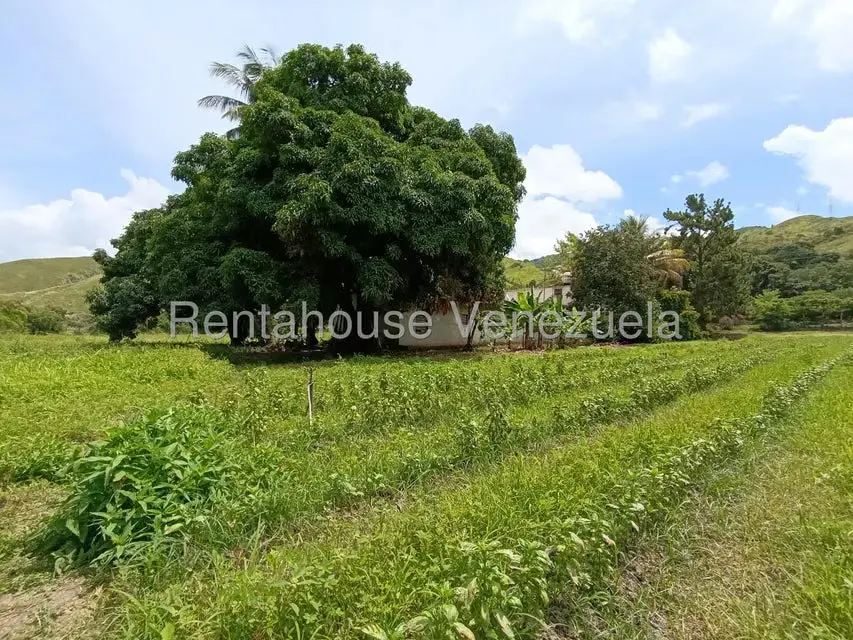 Terreno (Finca) en Venta en Sector Sierra del Norte, Aragua - 3