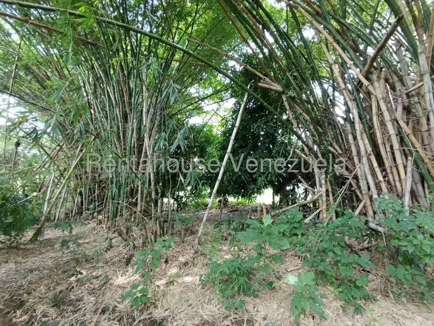 Terreno (Finca) en Venta en Sector Sierra del Norte, Aragua - 31
