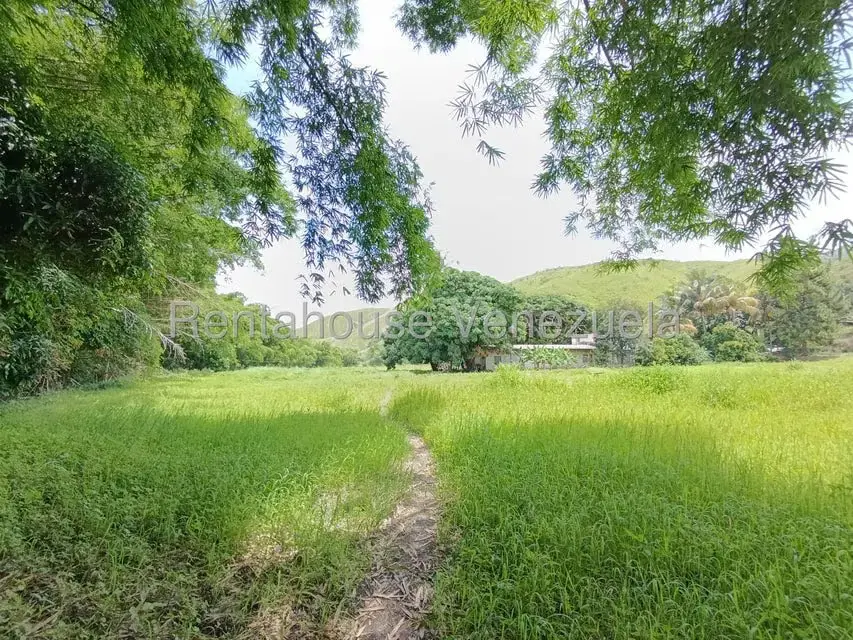 Terreno (Finca) en Venta en Sector Sierra del Norte, Aragua - 33
