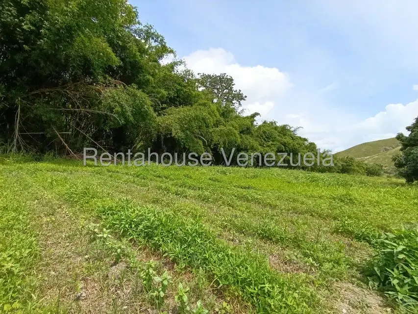 Terreno (Finca) en Venta en Sector Sierra del Norte, Aragua - 37