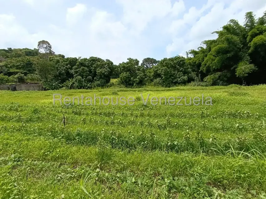 Terreno (Finca) en Venta en Sector Sierra del Norte, Aragua - 40