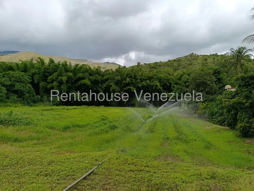 Terreno (Finca) en Venta en Sector Sierra del Norte, Aragua - 43