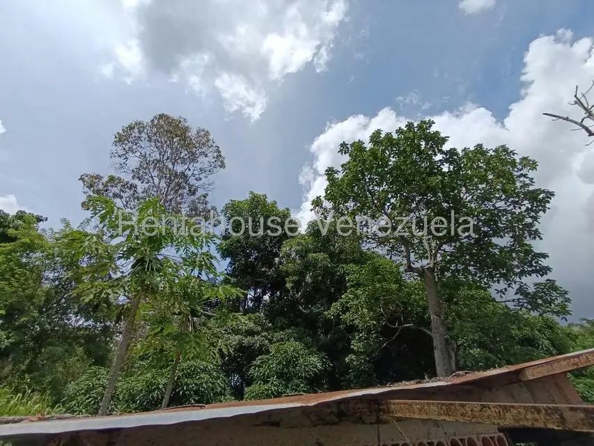 Terreno (Finca) en Venta en Sector Sierra del Norte, Aragua - 50