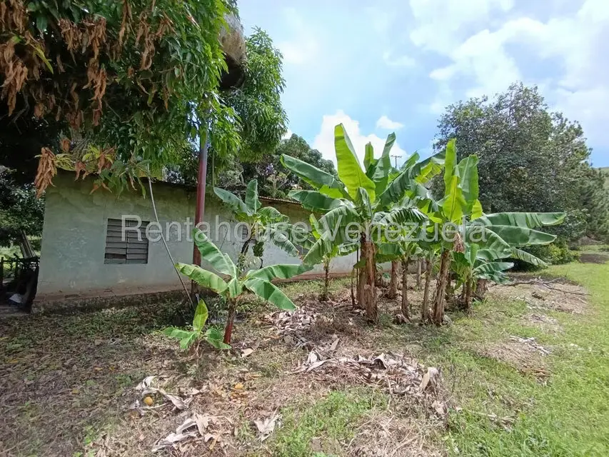 Terreno (Finca) en Venta en Sector Sierra del Norte, Aragua - 5