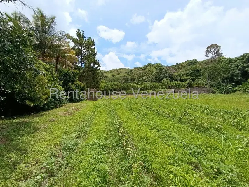 Terreno (Finca) en Venta en Sector Sierra del Norte, Aragua - 57