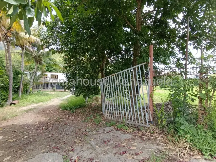 Terreno (Finca) en Venta en Sector Sierra del Norte, Aragua - 58