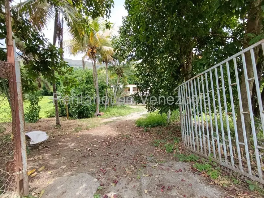 Terreno (Finca) en Venta en Sector Sierra del Norte, Aragua - 60