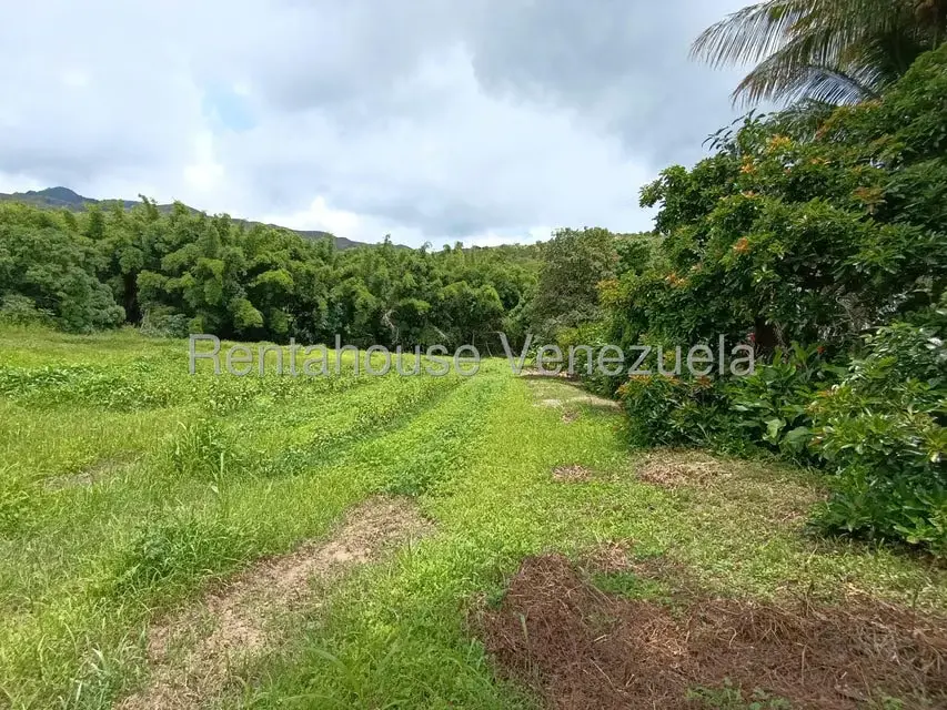 Terreno (Finca) en Venta en Sector Sierra del Norte, Aragua - 61