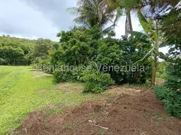 Vista 63