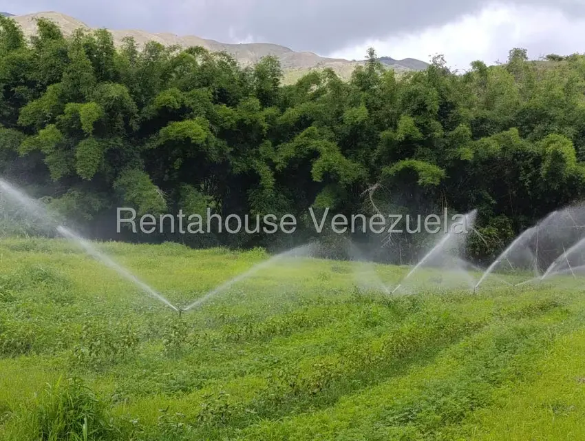 Terreno (Finca) en Venta en Sector Sierra del Norte, Aragua - 7