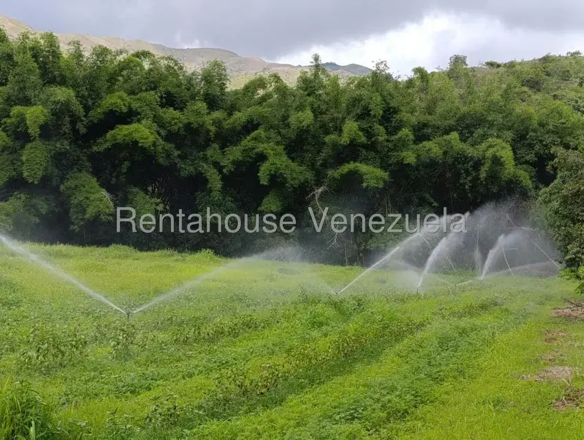 Terreno (Finca) en Venta en Sector Sierra del Norte, Aragua - 71