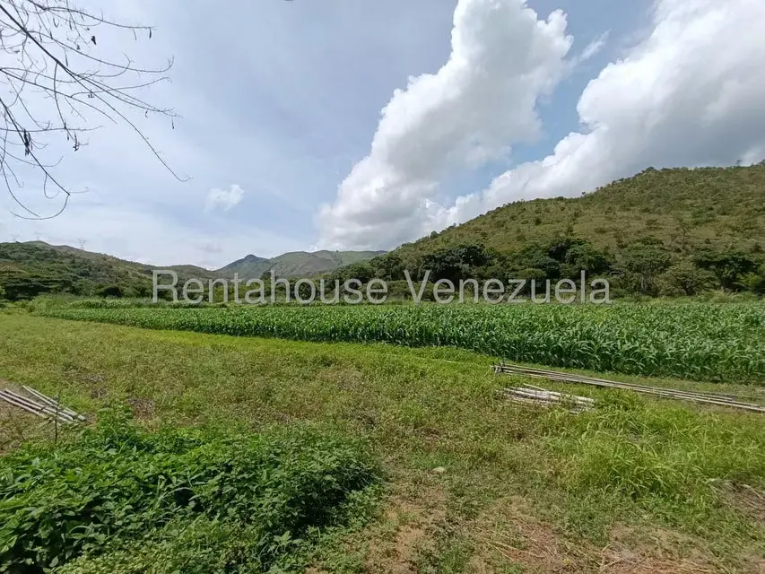 Terreno (Finca) en Venta en Sector Sierra del Norte, Aragua - 72