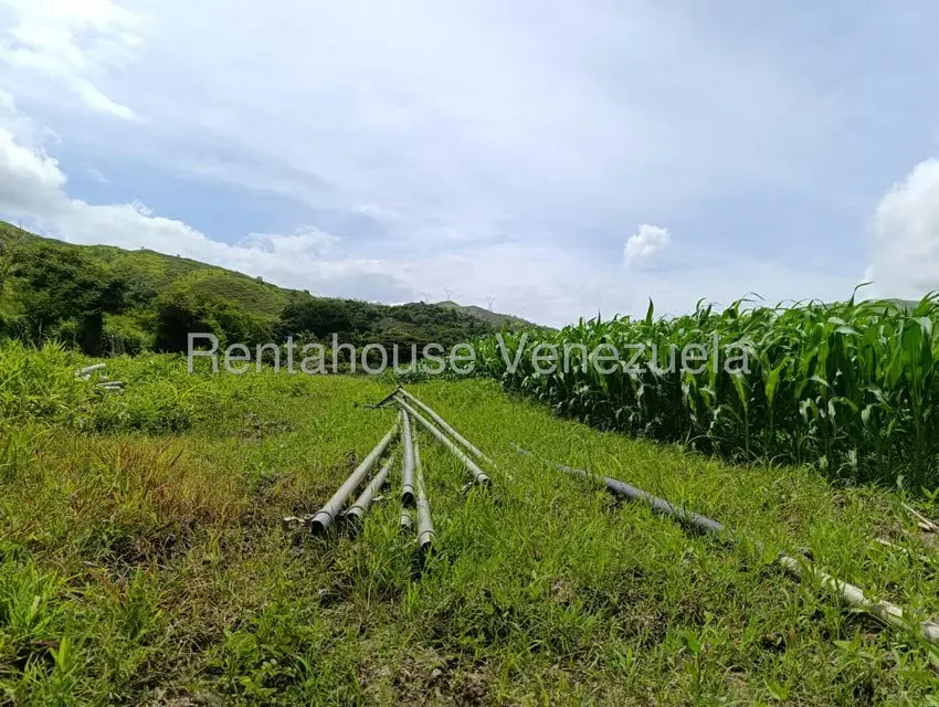 Terreno (Finca) en Venta en Sector Sierra del Norte, Aragua - 73