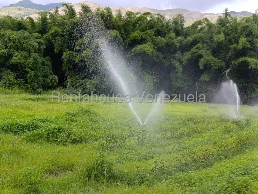 Terreno (Finca) en Venta en Sector Sierra del Norte, Aragua - 8