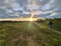 Vista 1