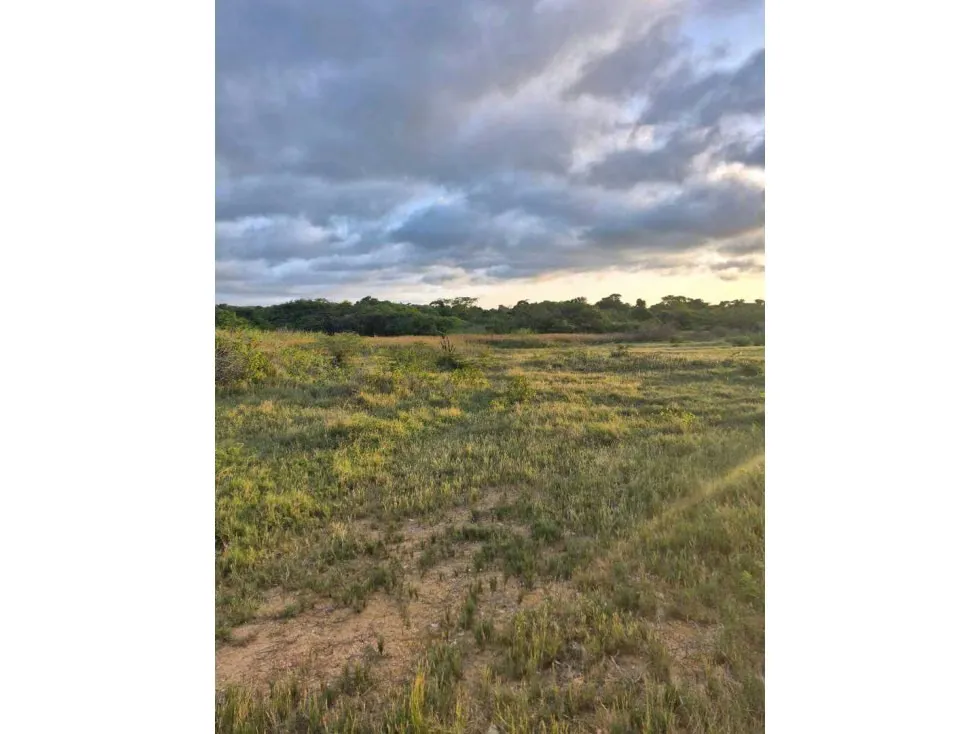 Vendo terreno 70000m2 Higuerote 9382 - 4