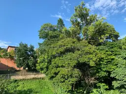 Vista 46
