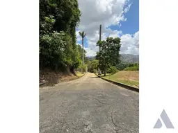 Vista 18
