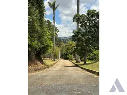 Vista 19
