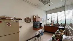 Vista 24