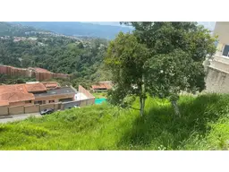 Vista 3