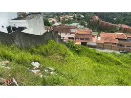 Vista 5