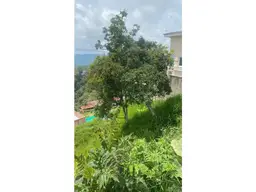 Vista 6