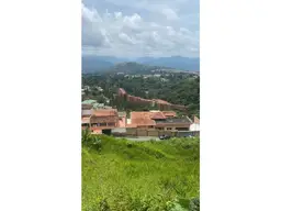 Vista 8