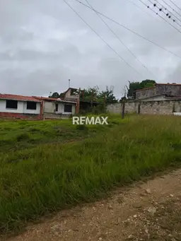 Vista 1