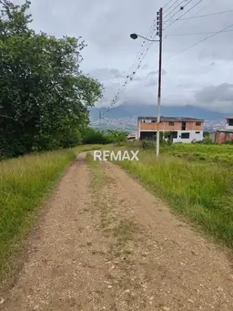 Vista 4