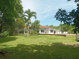 View 31
