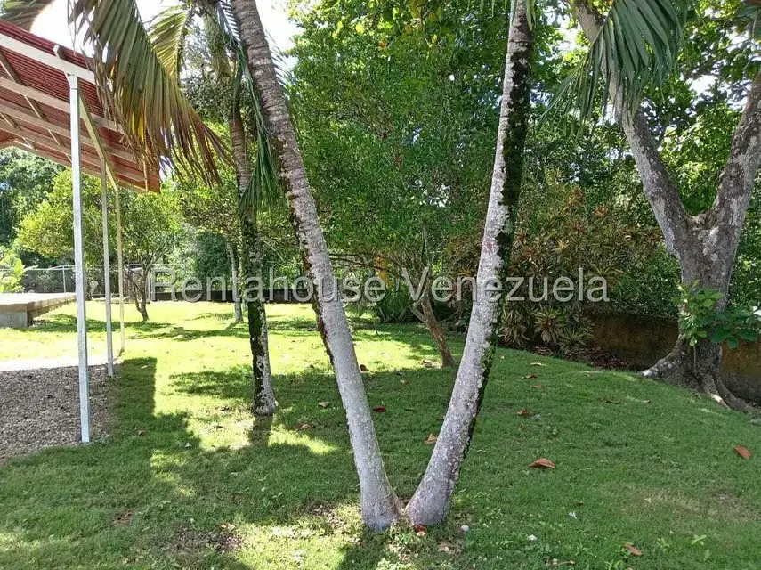 Apartamento (1 Nivel) en Venta en Flor de Mayo, Miranda - 33